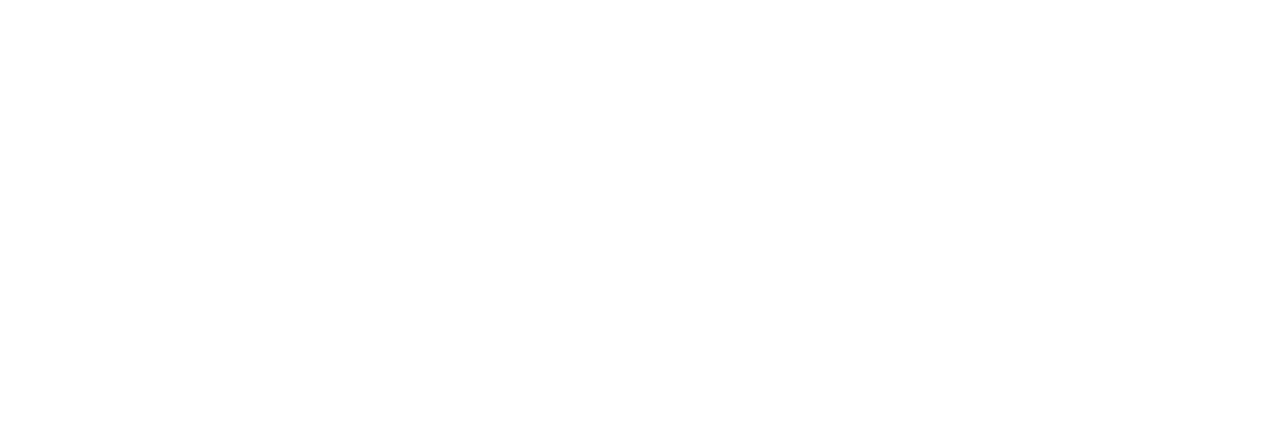 MOTOPLEX LOGO